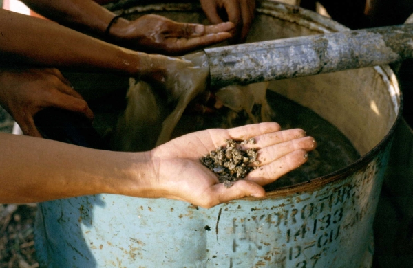 Bild Philippinen 34